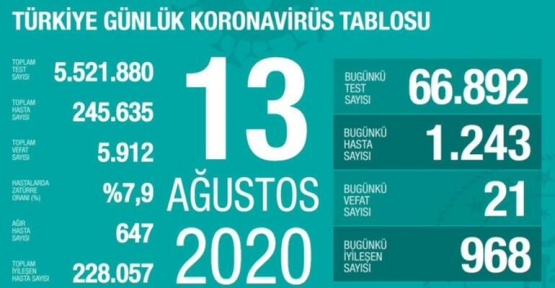 13 Ağustos Koronavirüs Tablosu