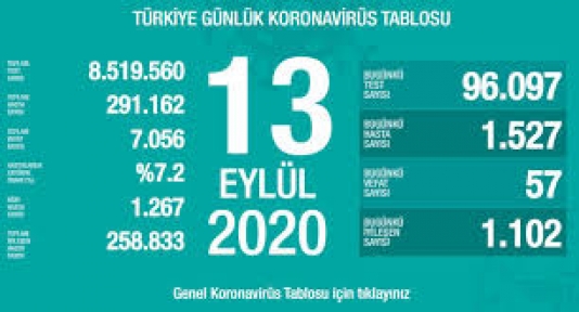 13 Eylül Koronavirüs Tablosu