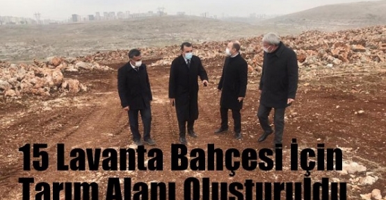 15 Lavanta Bahçesi İçin Tarım Alanı Oluşturuldu