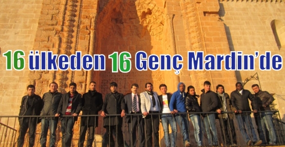 16 ülkeden 16 Genç Mardin’de