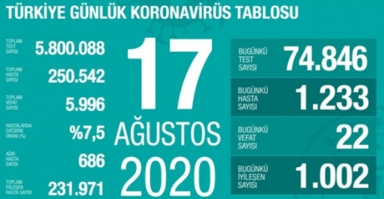 17 Ağustos Koronavirüs Tablosu