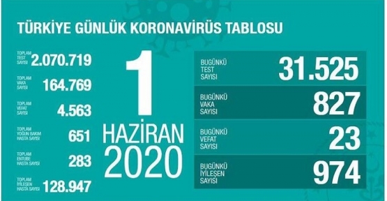 1 Haziran Koronavirüs tablosu