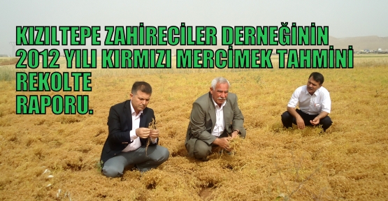 2012 YILI KIRMIZI  MERCİMEK TAHMİNİ REKOLTE RAPORU. 