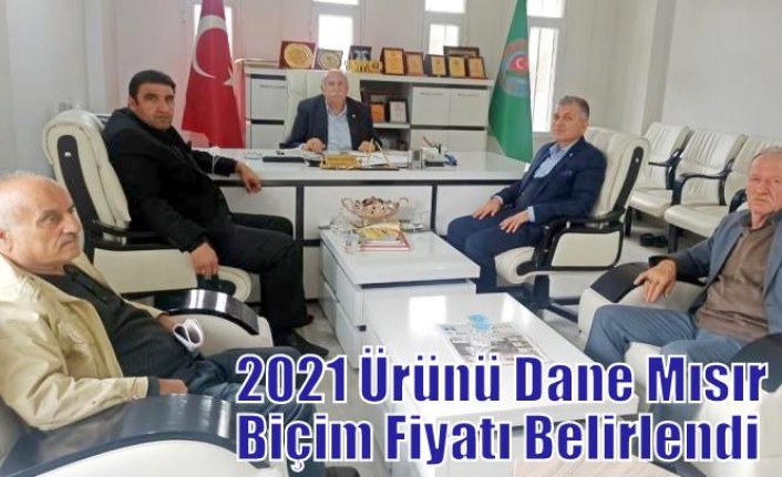 2021 Ürünü Dane Mısır Biçim Fiyatı Belirlendi