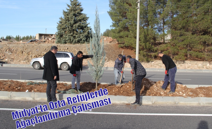 Midyat’ta Orta Refüjlerde Ağaçlandırma Çalışması