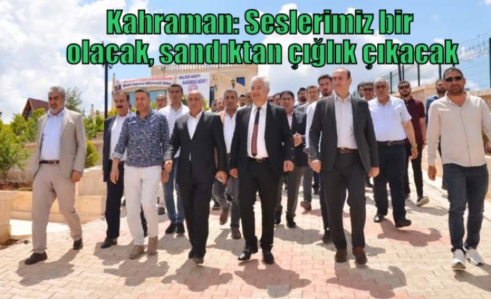 Kahraman: Seslerimiz bir olacak, sandıktan çığlık çıkacak