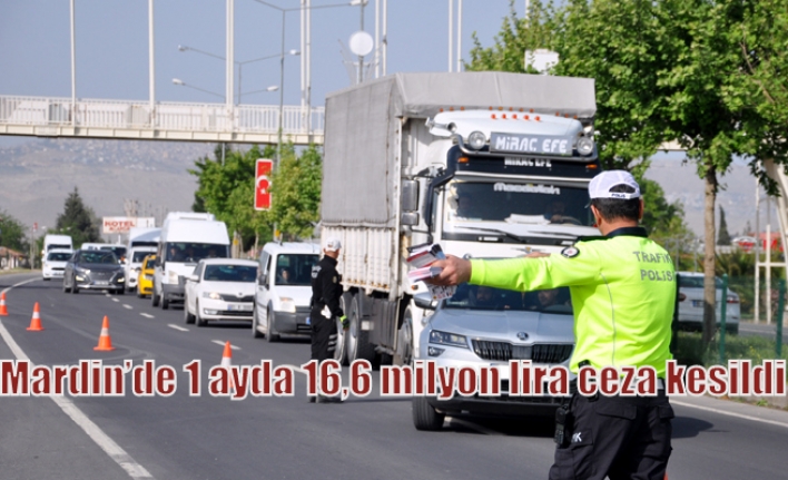 Mardin’de 1 ayda 16,6 milyon lira ceza kesildi