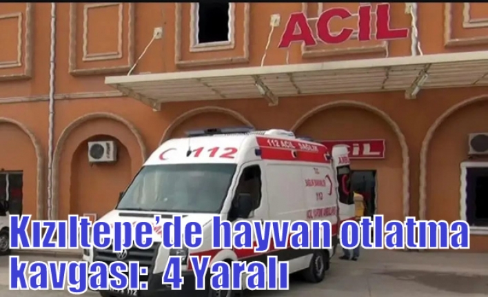 Kızıltepe’de hayvan otlatma kavgası:  4 Yaralı