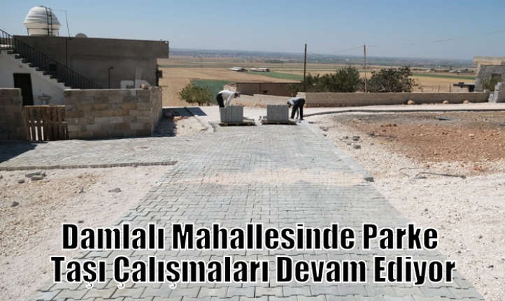 Damlalı Mahallesinde Parke Taşı Çalışmaları Devam Ediyor