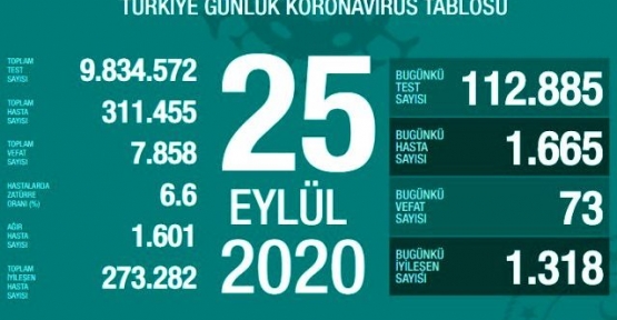 25 Eylül Koronavirüs Tablosu