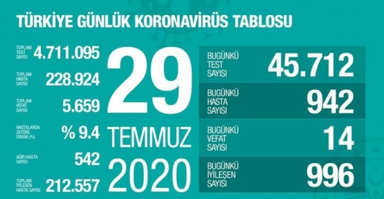 29 Temmuz Koronavirüs Tablosu