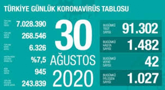 30 Ağustos Koronavirüs Tablosu