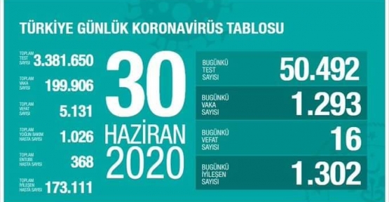 30 Haziran Koronavirüs tablosu