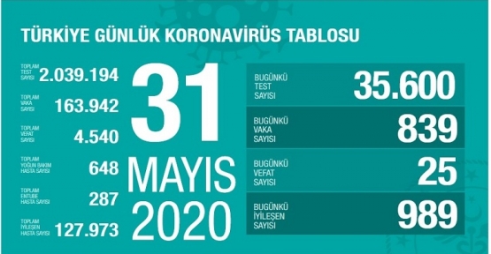 31 Mayıs Koronavirüs tablosu