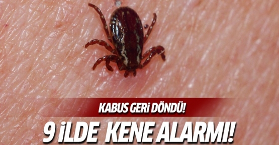 9 ilde kene alarmı!