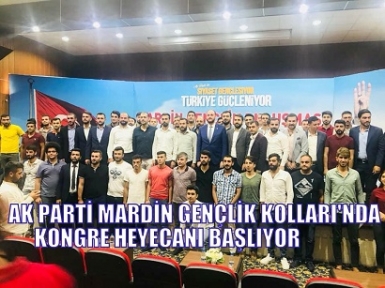 AK PARTİ MARDİN GENÇLİK KOLLARI'NDA KONGRE HEYECANI BAŞLIYOR