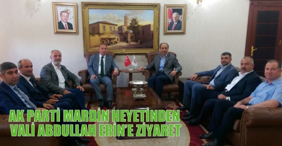 AK PARTİ MARDİN HEYETİNDEN VALİ ABDULLAH ERİN’E ZİYARET