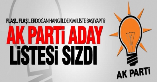 Ak Parti'nin Büyükşehir adayları kim?