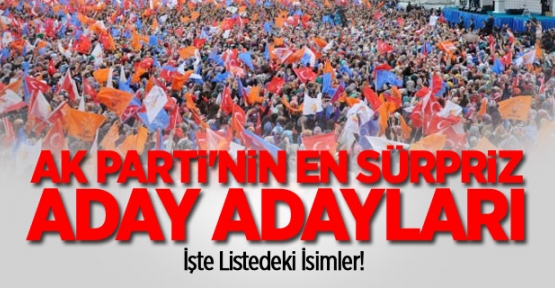 AK Parti'nin en sürpriz aday adayları