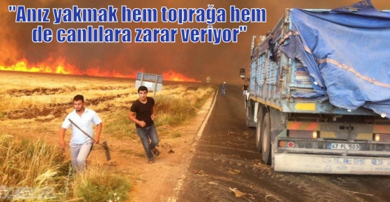 “Anız yakmak hem toprağa hem de canlılara zarar veriyor“ 