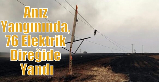 Anız Yangınında, 76 Elektrik Direğide Yandı