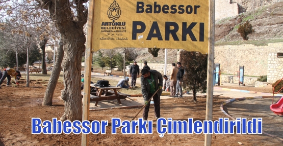 Babessor Parkı Çimlendirildi