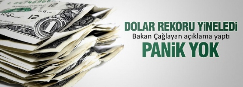 Bakan Çağlayan'dan yükselen dolarla ilgili açıklama