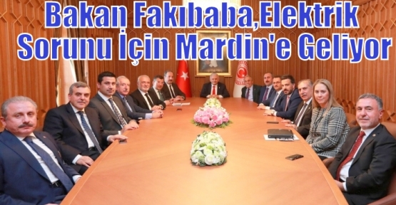 Bakan Fakıbaba,Elektrik Sorunu İçin Mardin'e Geliyor