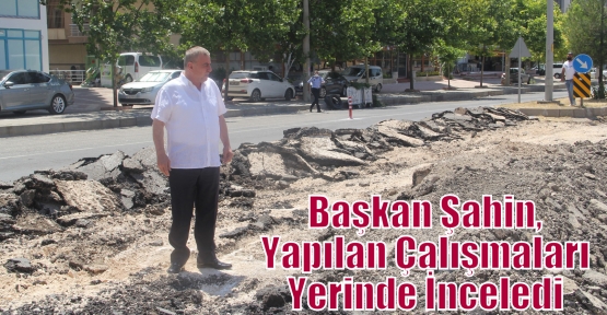 Başkan Şahin, Yapılan Çalışmaları Yerinde İnceledi 