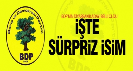 BDP'nin Diyarbakır adayı açıklandı