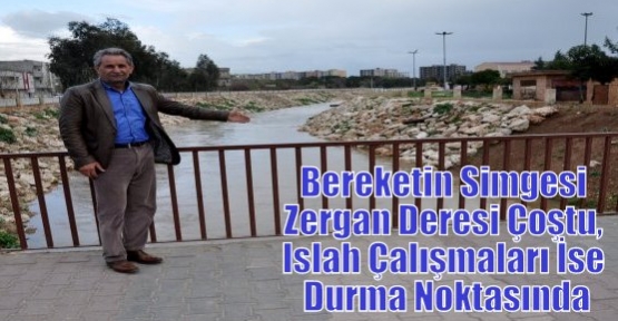 Bereketin Simgesi Zergan Deresi Çoştu, Islah Çalışmaları İse Durma Noktasında