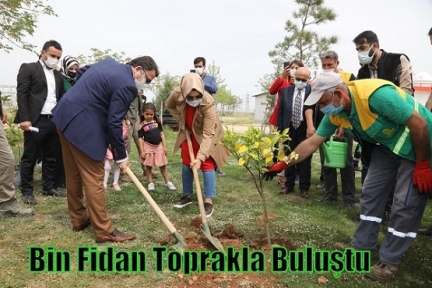 Bin Fidan Toprakla Buluştu