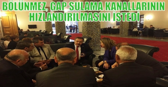 BÖLÜNMEZ, GAP SULAMA KANALLARININ HIZLANDIRILMASINI İSTEDİ