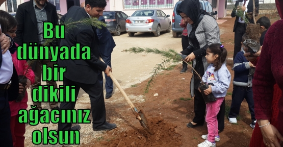 Bu dünyada bir dikili ağacınız olsun