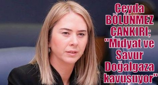 Ceyda BÖLÜNMEZ ÇANKIRI;“Midyat ve Savur Doğalgaza kavuşuyor“