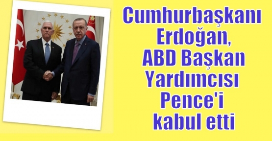 Cumhurbaşkanı Erdoğan, ABD Başkan Yardımcısı Pence'i kabul etti