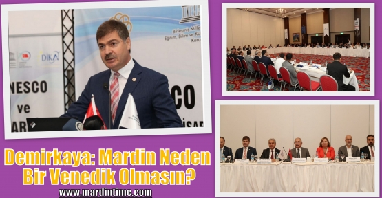 Demirkaya: Mardin Neden Bir Venedik Olmasın?