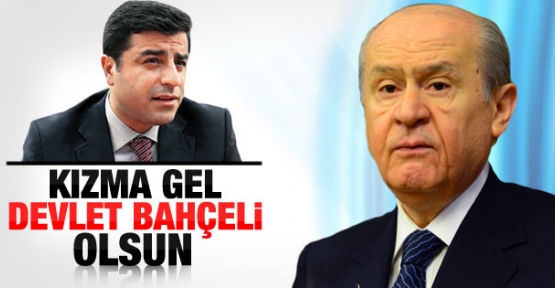 Demirtaş'tan Bahçeli'ye zeytin dalı