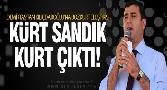 Demirtaş'tan Kılıçdaroğlu'na bozkurt eleştirisi!