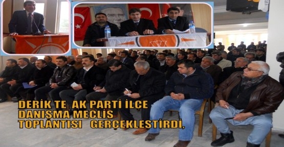 DERİK TE  AK PARTİ İLÇE DANIŞMA MECLİS TOPLANTISI   GERÇEKLEŞTİRDİ,