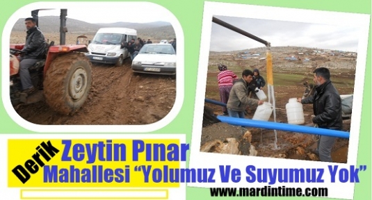 Derik Zeytin Pınar Mahallesi “Yolumuz Ve Suyumuz Yok”