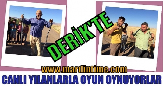 DERİK'TE CANLI YILANLARLA OYUN OYNUYORLAR