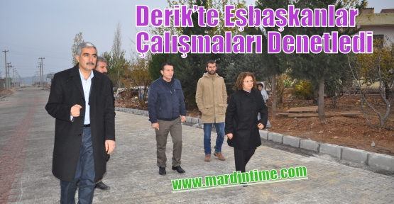 Derik’te Eşbaşkanlar Çalışmaları Denetledi.