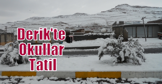 Derik'te Okullar Tatil