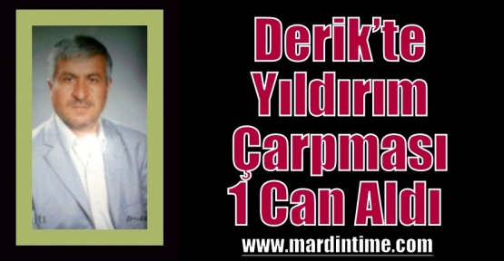 Derik’te Yıldırım Çarpması 1 Can Aldı  	