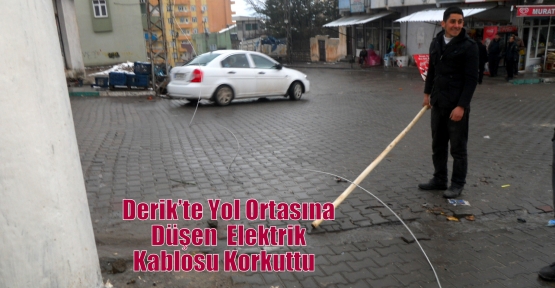 Derik’te Yol Ortasına Düşen  Elektrik Kablosu Korkuttu   