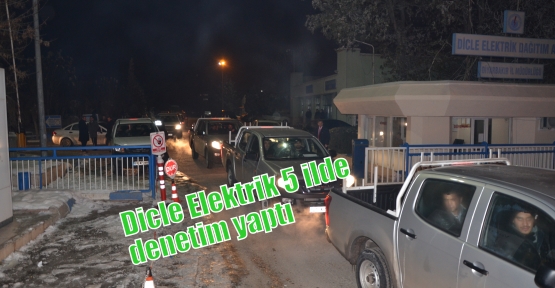 Dicle Elektrik bölgesindeki 5 ilde 1.237 personelle denetim yapıldı