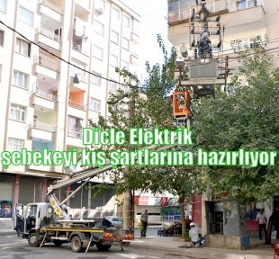 Dicle Elektrik şebekeyi kış şartlarına hazırlıyor