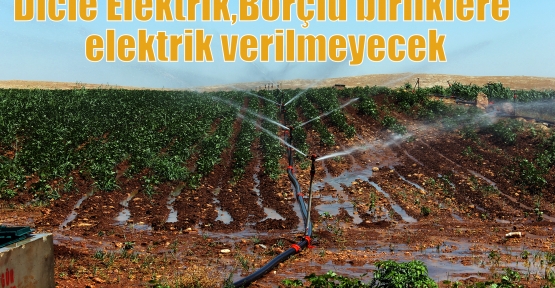 Dicle Elektrik,Borçlu birliklere elektrik verilmeyecek