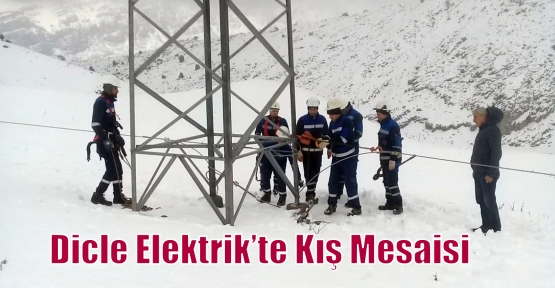 Dicle Elektrik’te Kış Mesaisi 